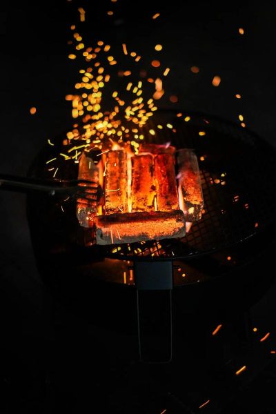 烧烤怎么烤才好吃_烧烤用什么炭最香