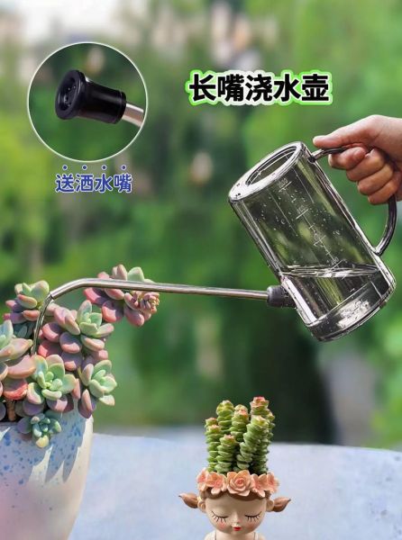 浇花多久浇一次水_浇花用什么水最好