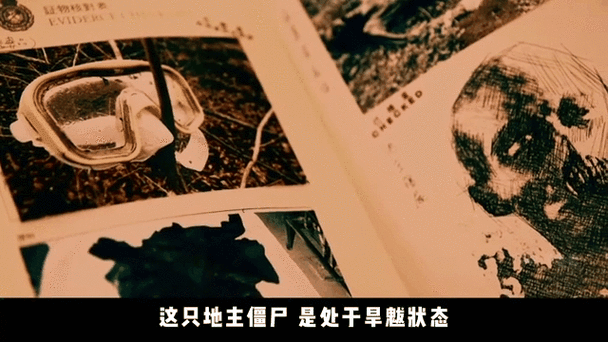 僵尸起源是什么_僵尸真的存在吗