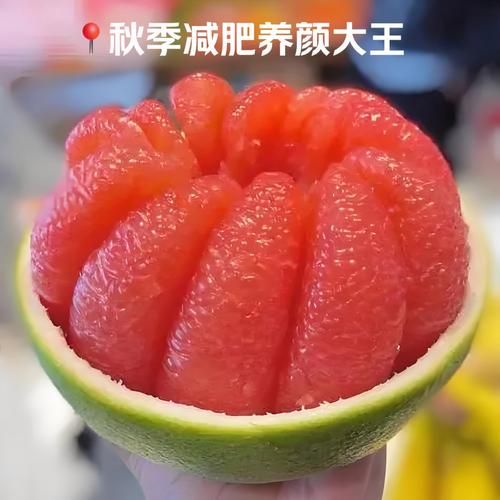 柚子历史图片大全_柚子起源演变