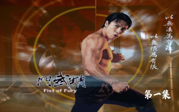 甄子丹经典电影有哪些_甄子丹最好看的动作片推荐