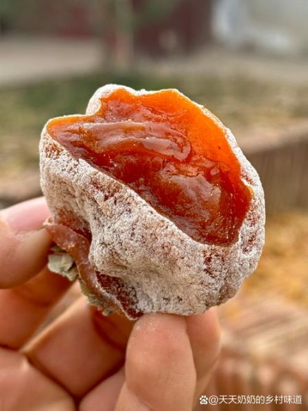 柿饼历史大全_柿饼最早出现在哪个朝代