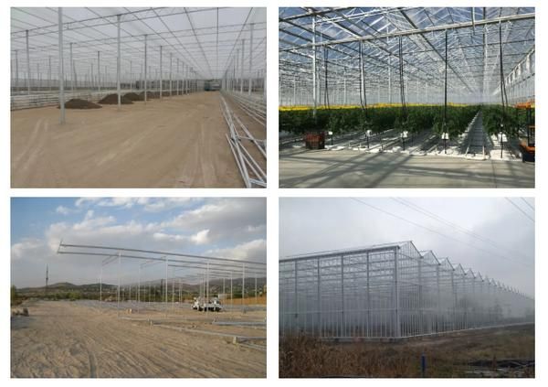 花博会科技产品有哪些_花博会智能温室如何运作