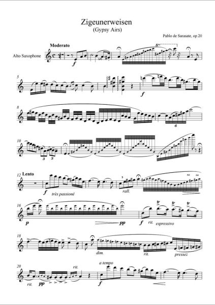 管乐艺术是什么_如何入门管乐学习