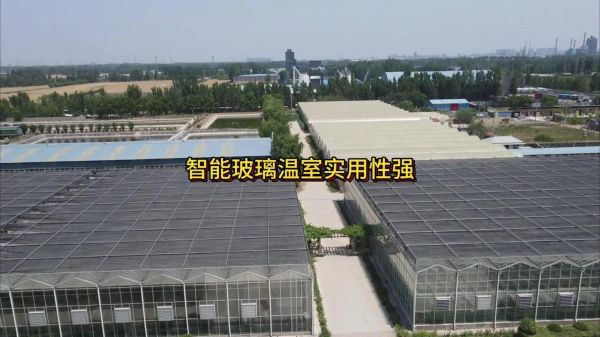 花博会科技产品有哪些_花博会智能温室如何运作