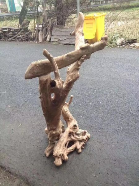 树根艺术是什么_树根艺术怎么做