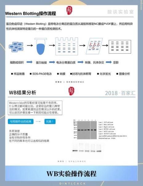 科技产品本地化怎么做_本地化失败案例有哪些