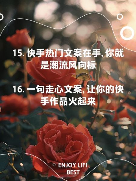 生活快手文案怎么写_快手生活文案有哪些套路