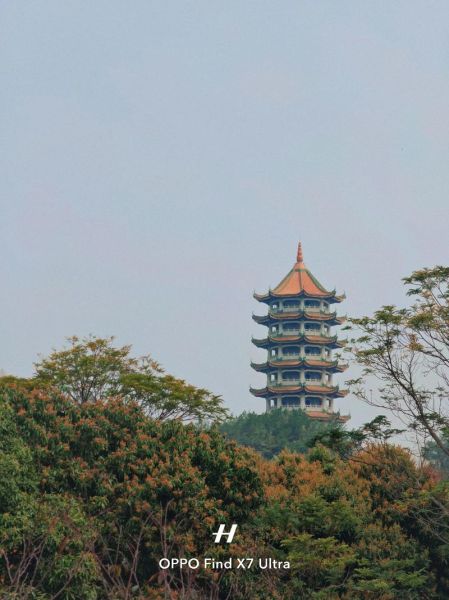 天气好适合做什么_周末去哪玩