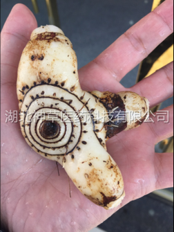 福州点点医药科技有哪些产品_点点医药科技产品怎么样