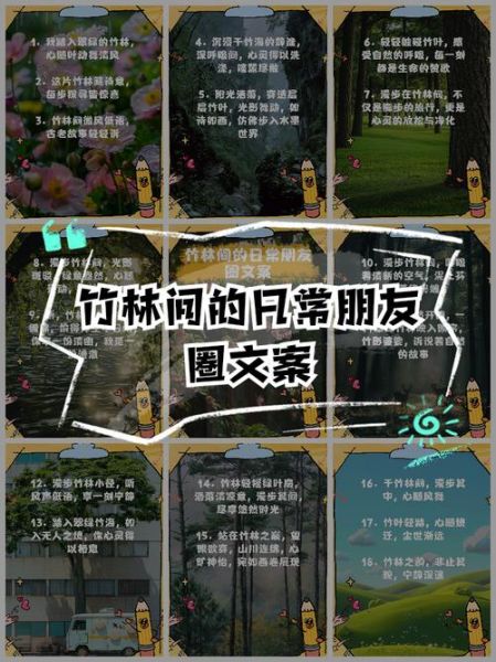 竹林文案生活怎么写_竹林文案生活有哪些灵感