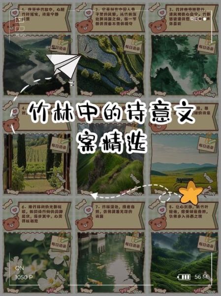 竹林文案生活怎么写_竹林文案生活有哪些灵感