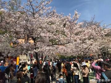 如何慢生活_慢生活的好处是什么