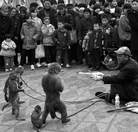 民间耍猴艺术怎么传承_耍猴人现在靠什么生活