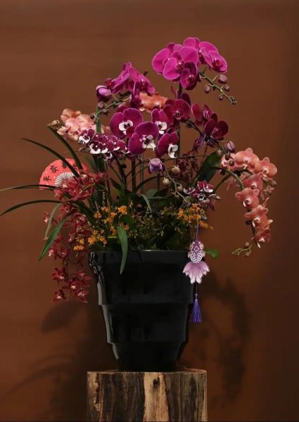 艺术年宵花怎么选_艺术年宵花价格贵吗