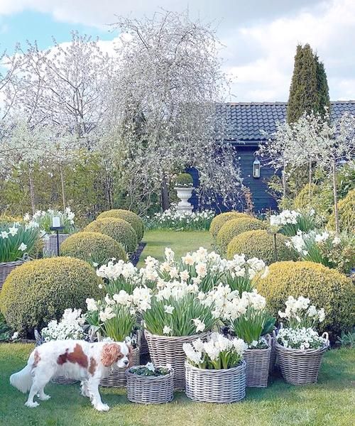 花园设计艺术_如何打造四季有景的私家花园