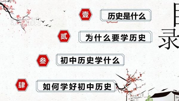 初中历史教学视频大全_如何高效利用