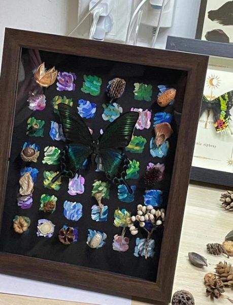 艺术标本是什么_如何制作艺术标本