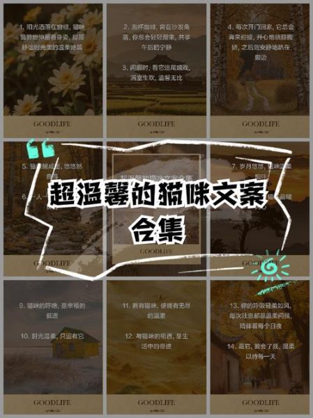 清新艺术猫文案怎么写_清新艺术猫文案灵感哪里找