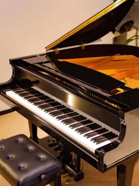 艺术钢琴适合初学者吗_艺术钢琴选购指南