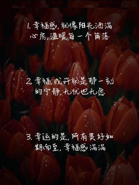 如何提升生活幸福感_好运文案短句治愈心灵