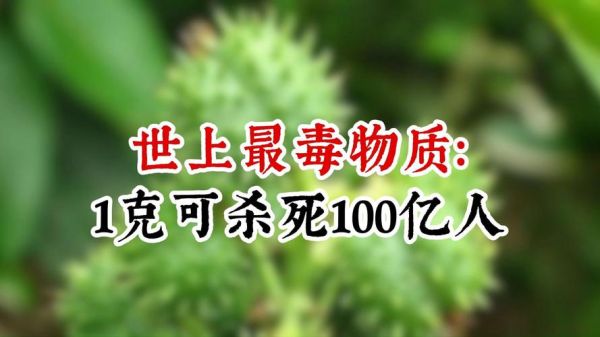 毒纪大全_常见毒物有哪些