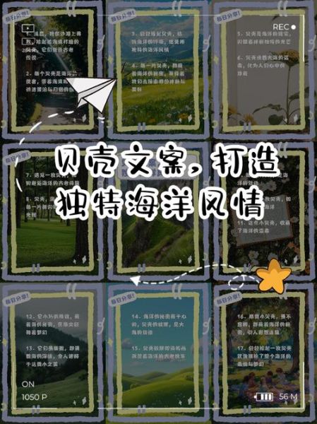 海洋主题艺术文案怎么写_如何打造沉浸式海洋氛围