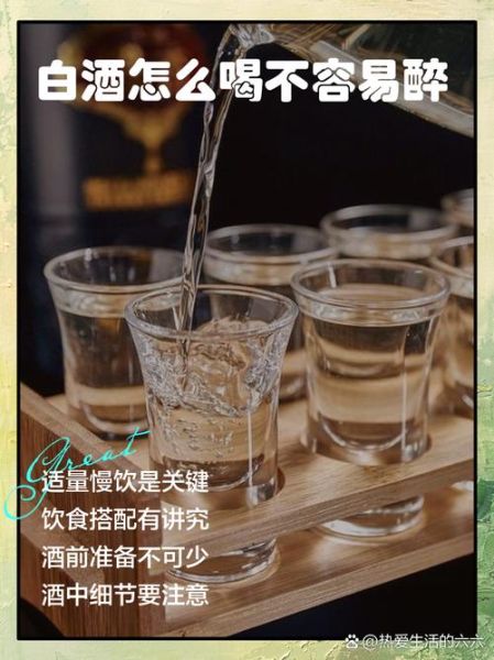 慢生活酒怎么喝_慢生活酒适合什么场合