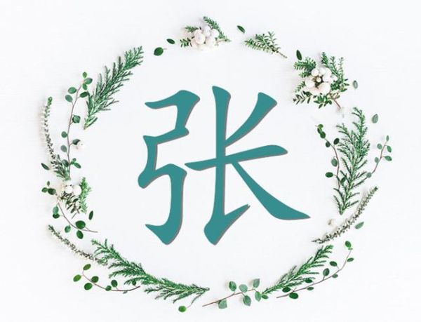 张字艺术怎么写_张字艺术字体有哪些