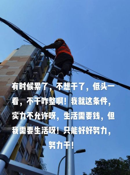 生活本就很苦了_为什么还要努力