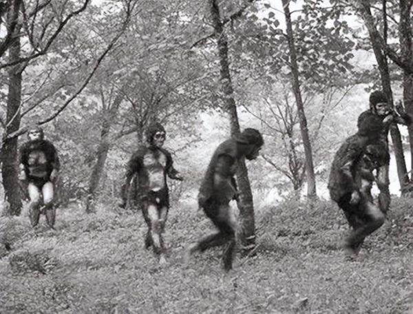 野人真的存在吗_野人历史起源