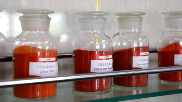 天音生物科技产品怎么样_天音生物科技有哪些优势