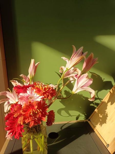 生活恬淡是什么意思_如何过出恬淡日子