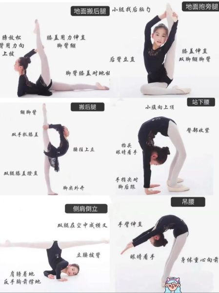 舞蹈艺术如何入门_零基础学舞蹈要多久