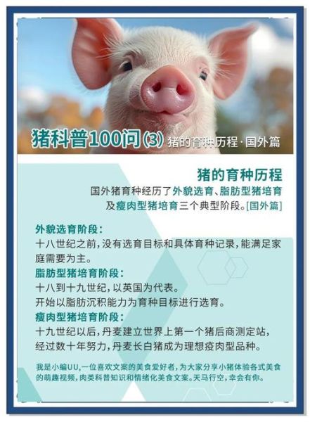 养猪历史故事大全_古代养猪技术起源