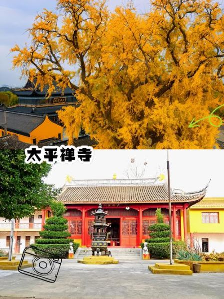 扬中大全历史_扬中大全前身是什么