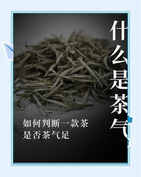生活有茶气是什么意思_如何打造茶系氛围
