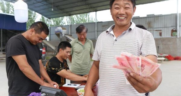 农村干活一天能挣多少钱_农村日常生活都干哪些活
