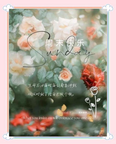 周末文案生活怎么写_周末文案生活有哪些灵感