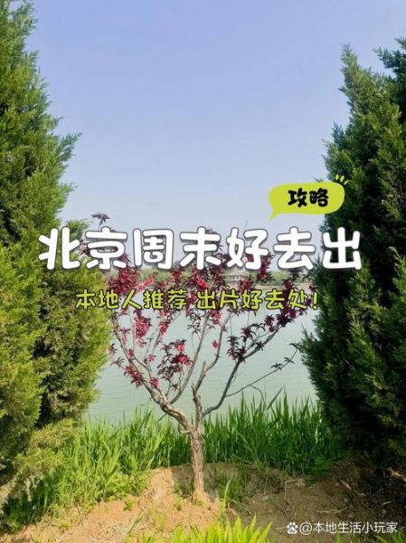 生活出去玩去哪里好_周末短途旅行推荐