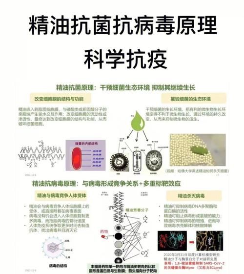 中国抗疫高科技产品有哪些_它们如何改变防疫模式
