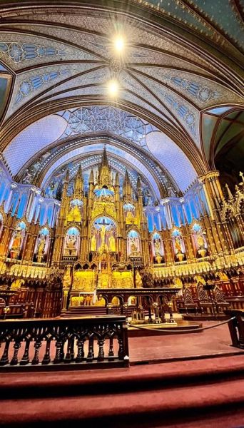 历史教堂视频大全_如何免费下载