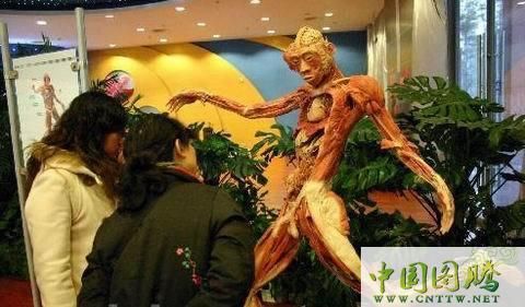 人皮口艺术是什么_人皮口艺术合法吗