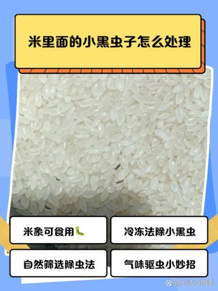 比米粒还小的黑科技有哪些_它们如何改变生活