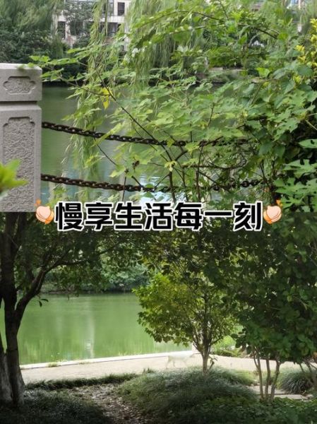 如何开启美好的生活_美好生活从哪里开始