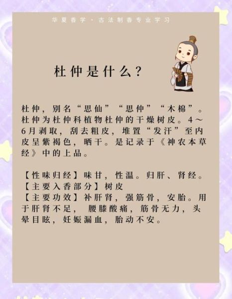 杜仲的由来是什么_杜仲有哪些历史故事