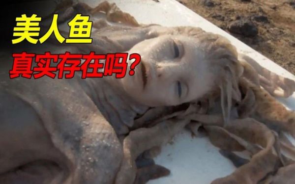 人鱼起源传说_人鱼真实存在吗