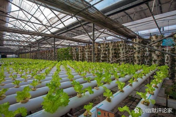 农村最科技产品有哪些_怎么用