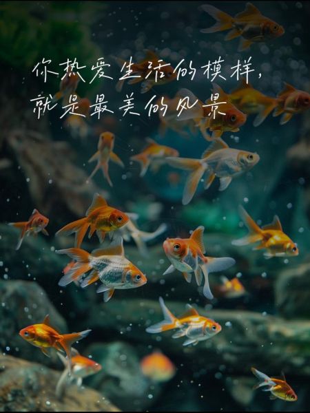 如何热爱生活_让生活充满热爱的方法