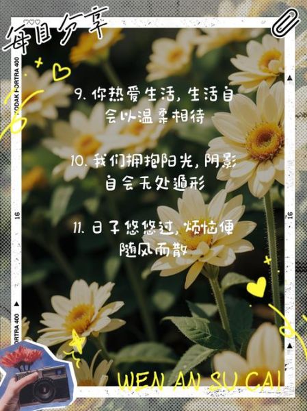 如何积极面对生活_积极面对生活的经典文案